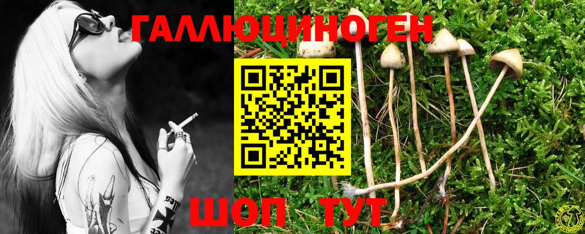 Псилоцибиновые грибы прущие грибы  Псилоцибиновые грибы Magic Shrooms  Воронеж  Вход с VPN 