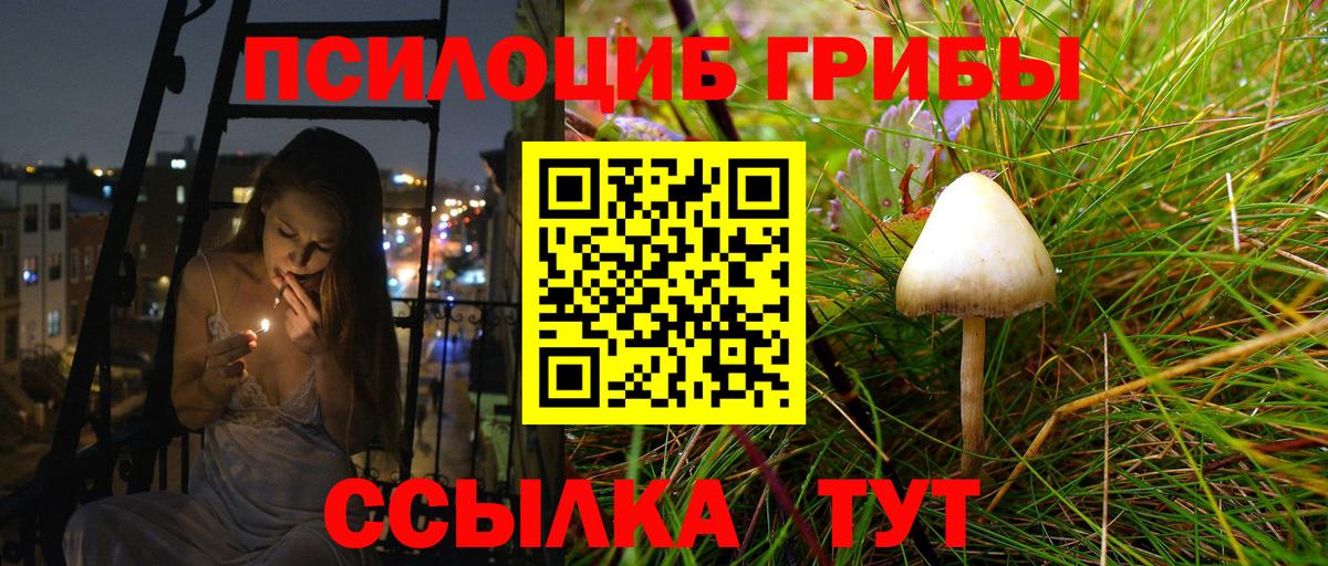 Галлюциногенные грибы GOLDEN TEACHER Воронеж